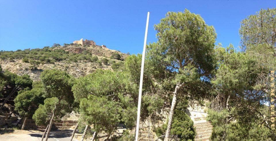 ORAN-le fort depuis les planteurs.jpg